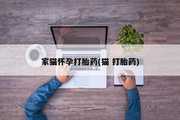 堕胎药联系微信家猫怀孕打胎药(猫 打胎药)